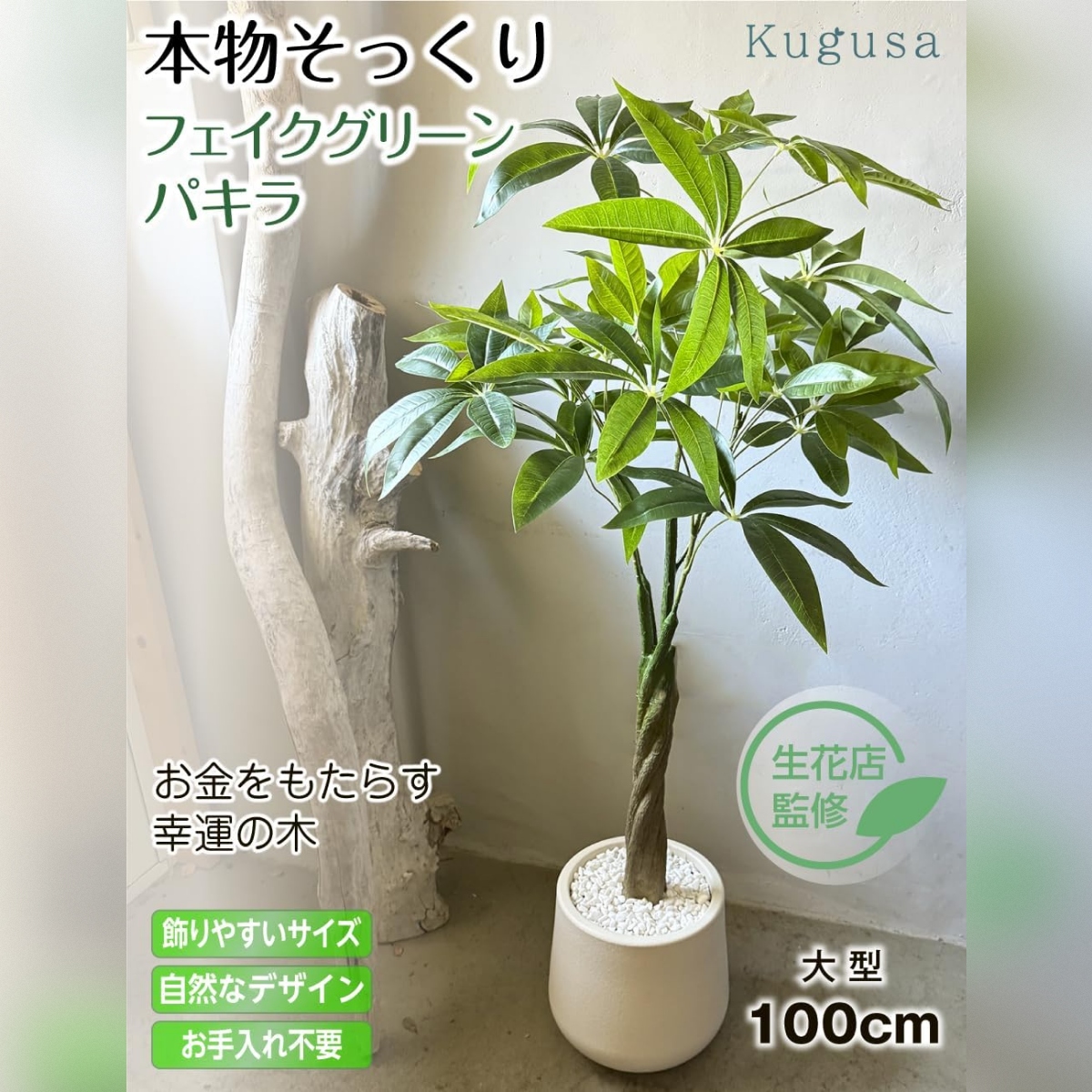 フェイクグリーン(パキラ)